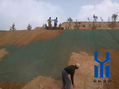三維植被網(wǎng)http://m.szfdfm.cn/